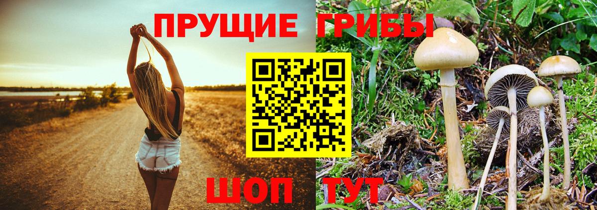Шали  Псилоцибиновые грибы ЛСД  Вход с VPN 